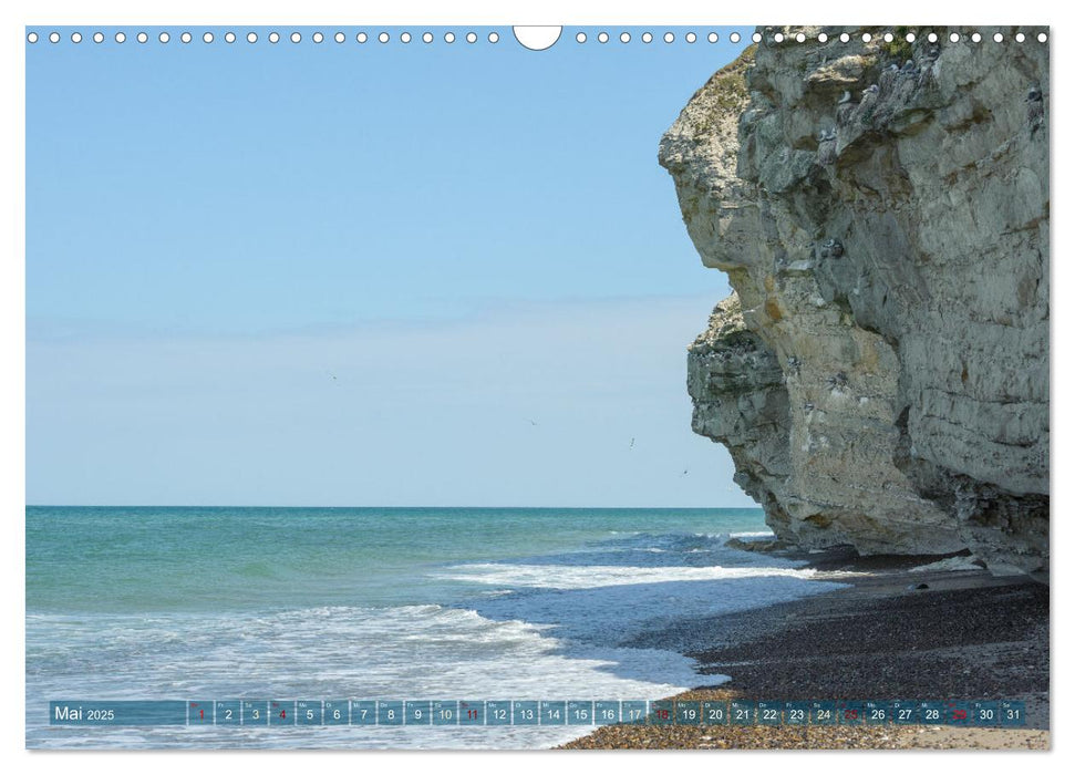 Dänemark - Jütlands Natur (CALVENDO Wandkalender 2025)