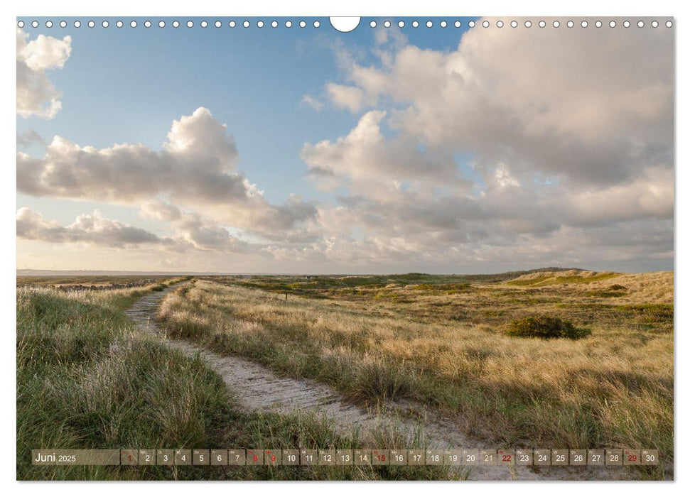 Dänemark - Jütlands Natur (CALVENDO Wandkalender 2025)