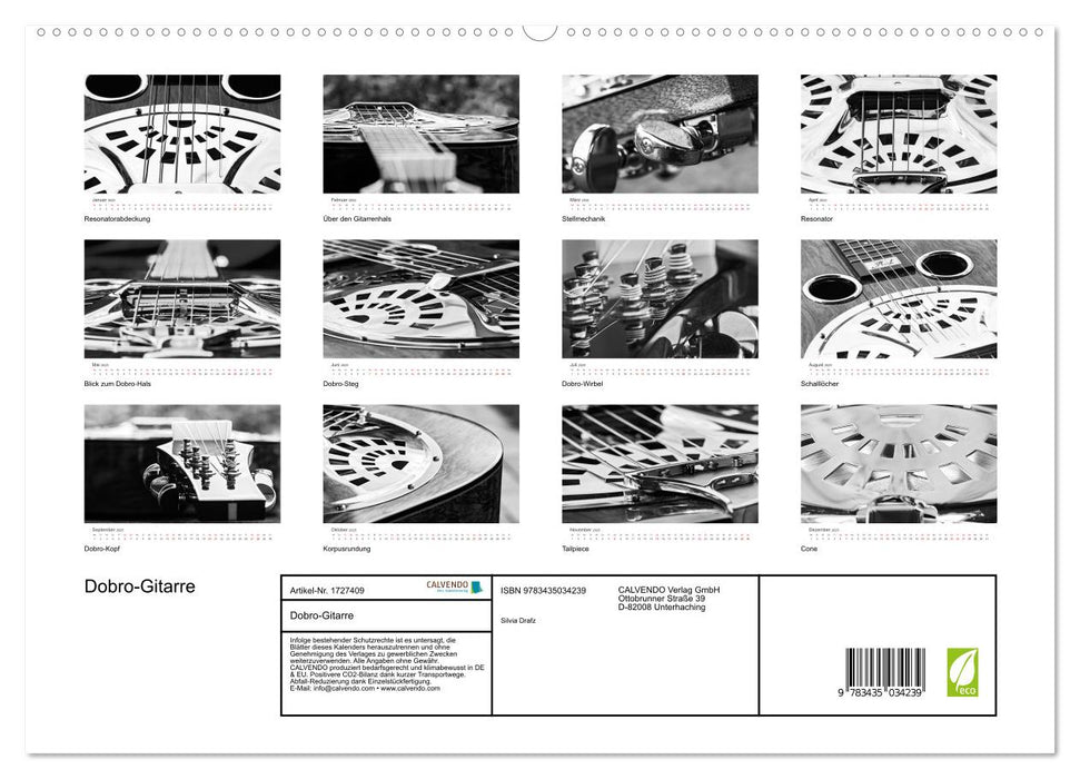 Dobro-Gitarre (CALVENDO Premium Wandkalender 2025)