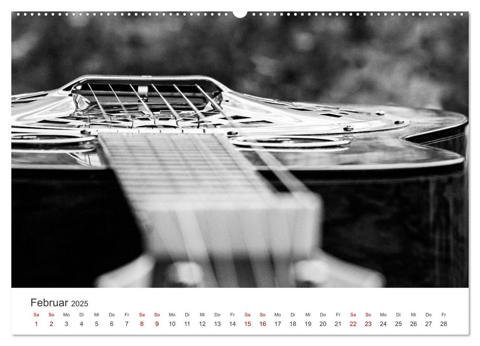 Dobro-Gitarre (CALVENDO Premium Wandkalender 2025)