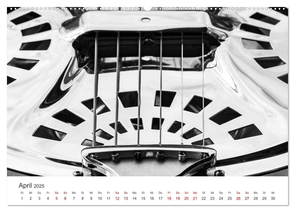 Dobro-Gitarre (CALVENDO Premium Wandkalender 2025)