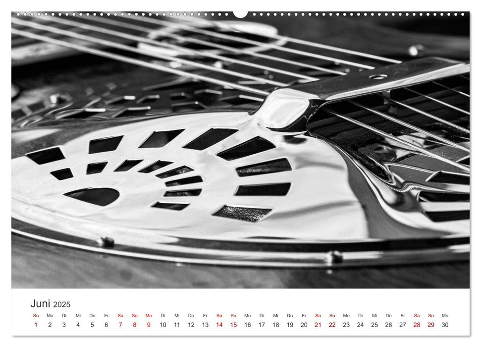 Dobro-Gitarre (CALVENDO Premium Wandkalender 2025)