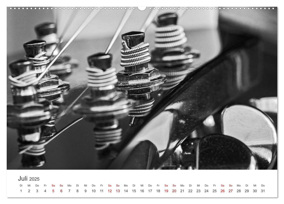 Dobro-Gitarre (CALVENDO Premium Wandkalender 2025)