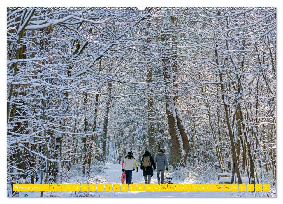 Hamburg - Perle an der Elbe (CALVENDO Premium Wandkalender 2025)