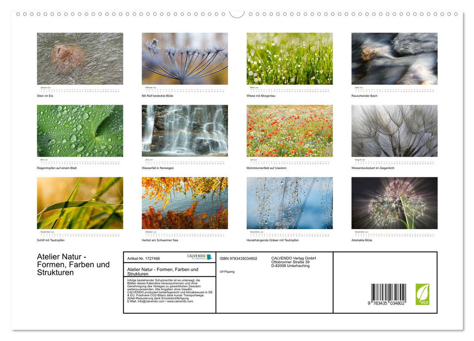 Atelier Natur - Formen, Farben und Strukturen (CALVENDO Premium Wandkalender 2025)