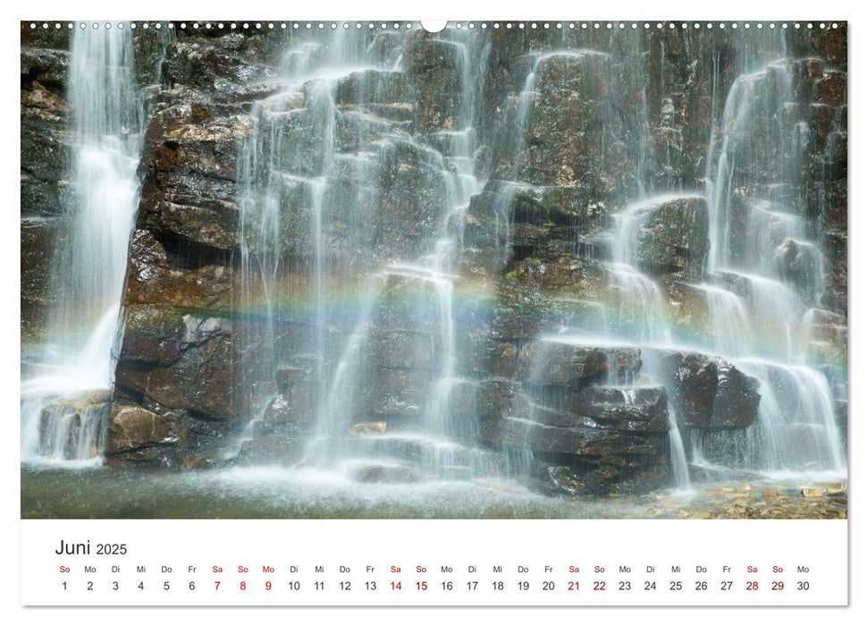 Atelier Natur - Formen, Farben und Strukturen (CALVENDO Premium Wandkalender 2025)