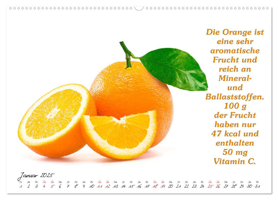 Gesundes neues Jahr (CALVENDO Premium Wandkalender 2025)