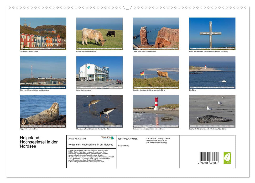 Helgoland - Hochseeinsel in der Nordsee (CALVENDO Wandkalender 2025)