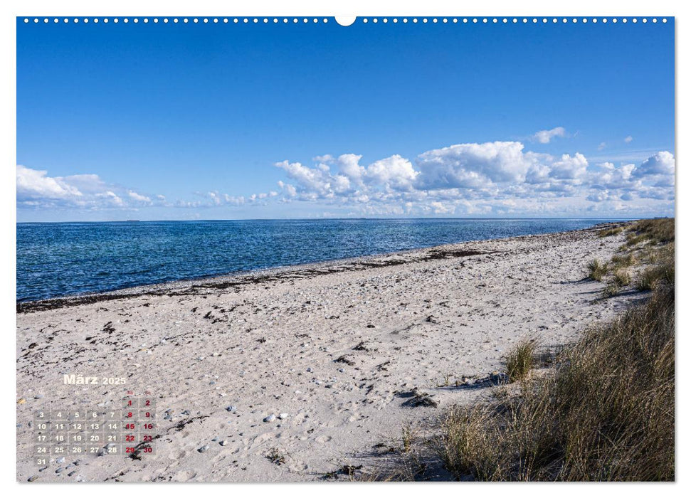 Schleswig-Holstein im Frühling (CALVENDO Wandkalender 2025)