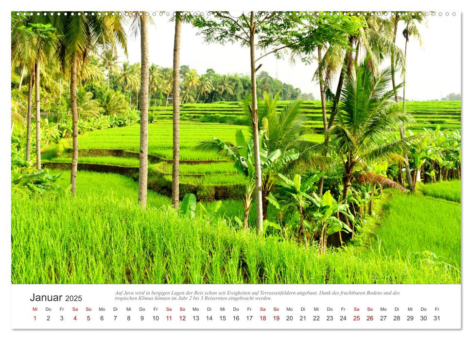 JAVA Natur pur (CALVENDO Premium Wandkalender 2025)