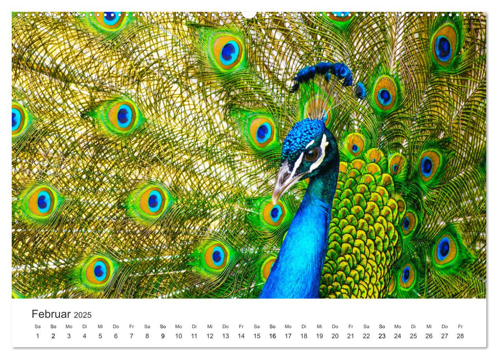 Farbenfrohe Tierwelt (CALVENDO Premium Wandkalender 2025)