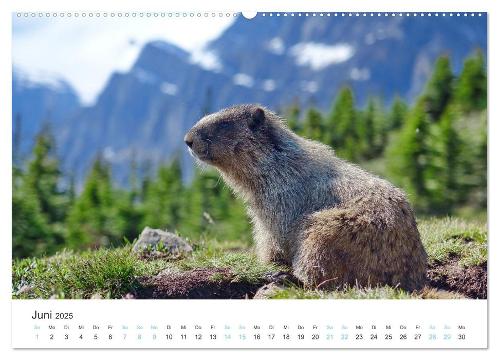 Kanadas Westen - Berge und Wasser (CALVENDO Wandkalender 2025)