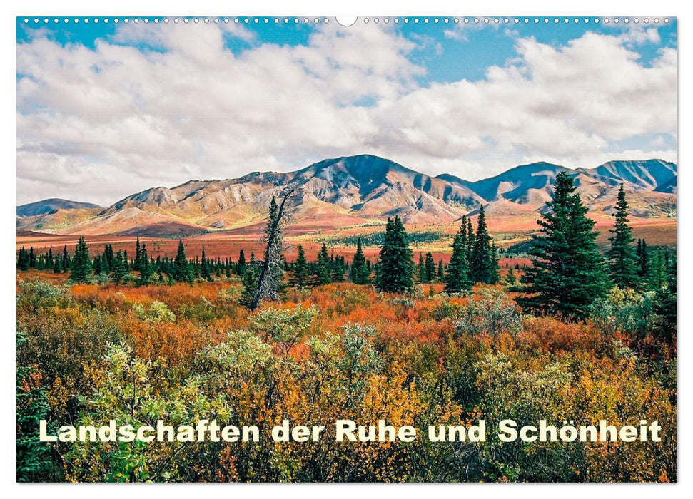 Landschaften der Ruhe und Schönheit (CALVENDO Wandkalender 2025)