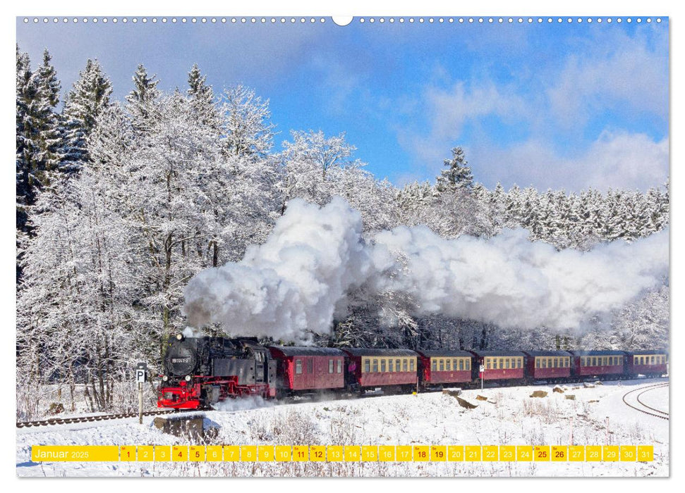 Der Harz und sein Vorland (CALVENDO Premium Wandkalender 2025)