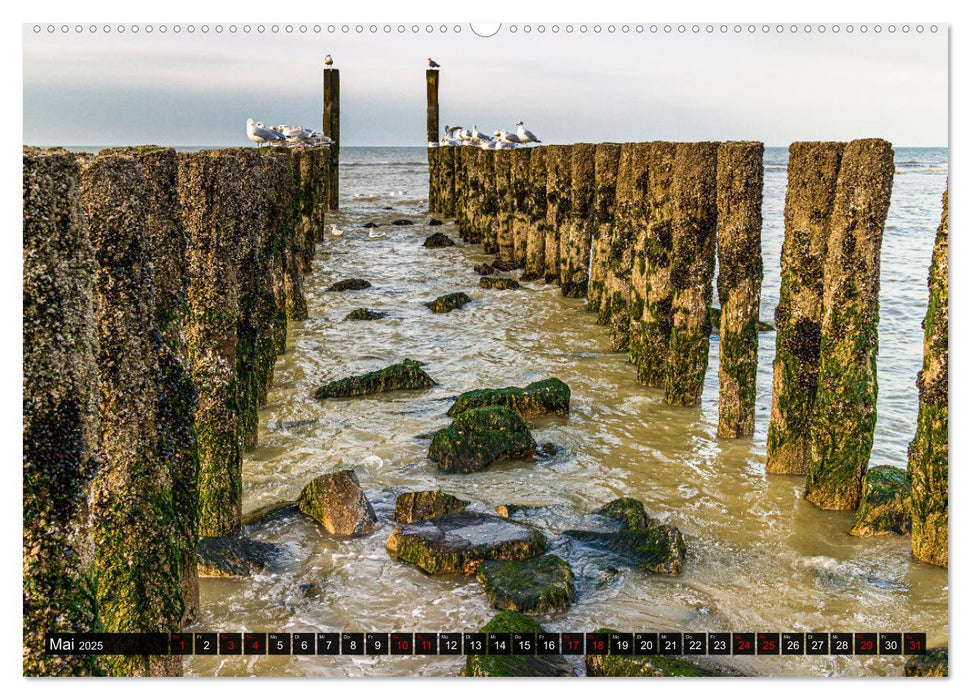 Fernweh am Meer - Sehnsucht kennt keine Grenzen (CALVENDO Premium Wandkalender 2025)