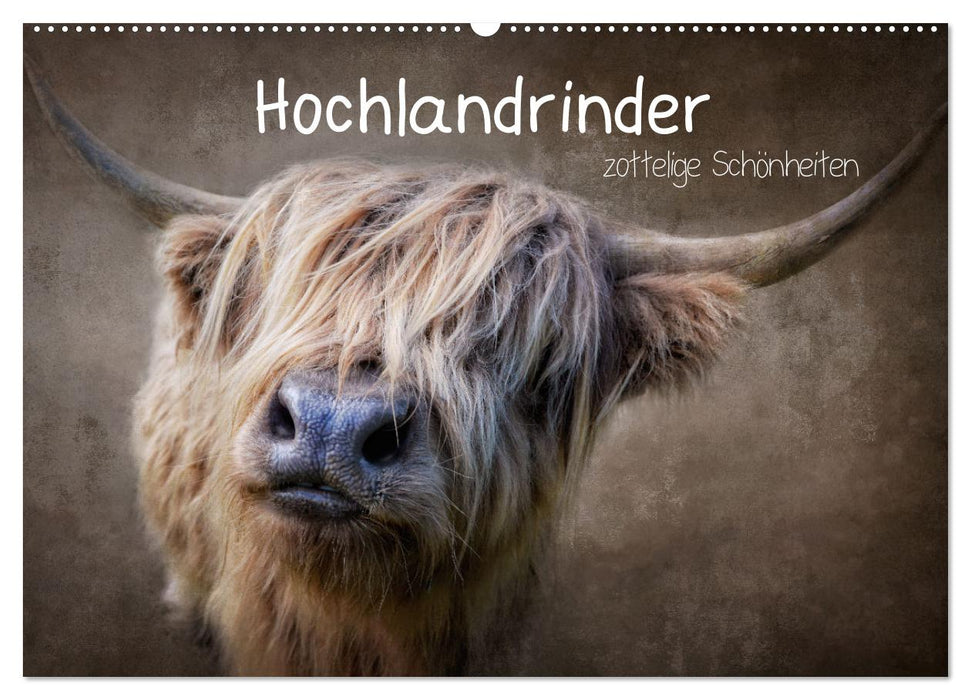 Hochlandrinder - Zottelige Schönheiten (CALVENDO Wandkalender 2025)