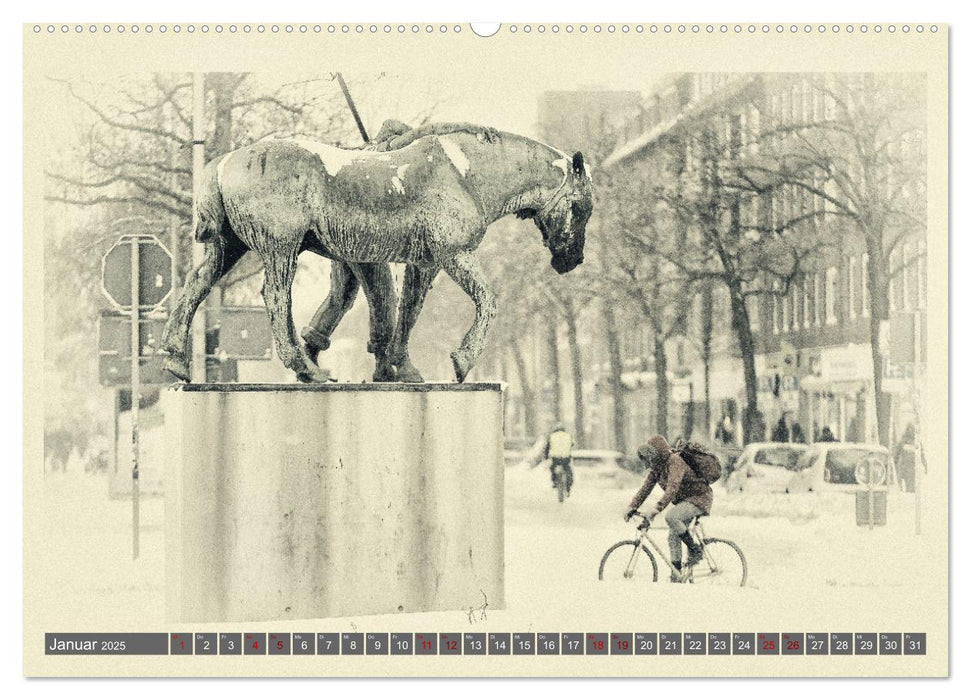 Münster fährt Leeze! (CALVENDO Wandkalender 2025)