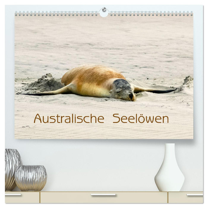 Australische Seelöwen (CALVENDO Premium Wandkalender 2025)