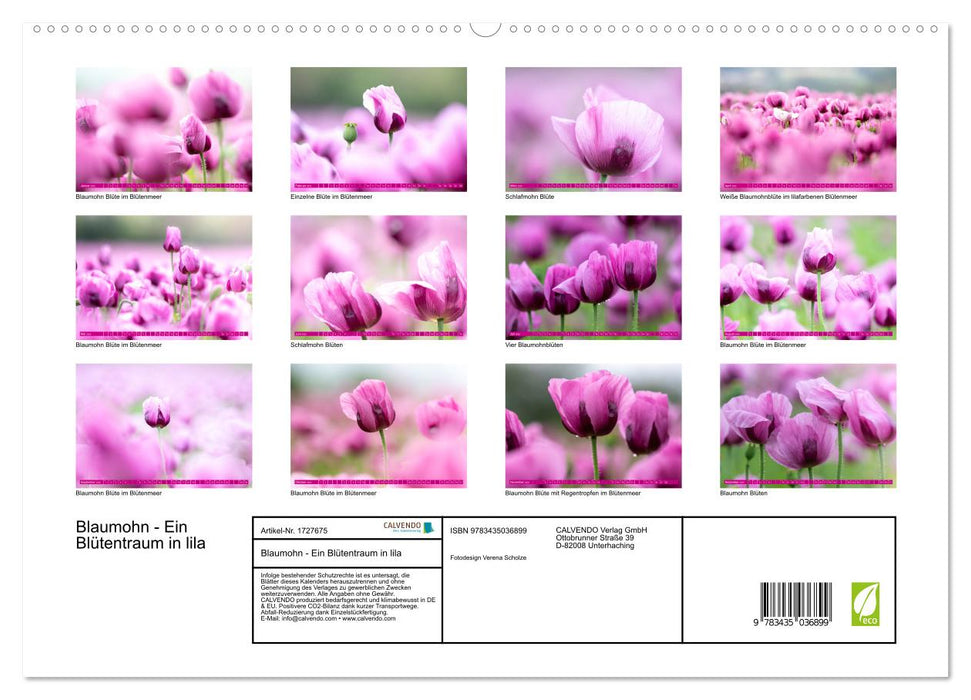 Blaumohn - Ein Blütentraum in lila (CALVENDO Premium Wandkalender 2025)