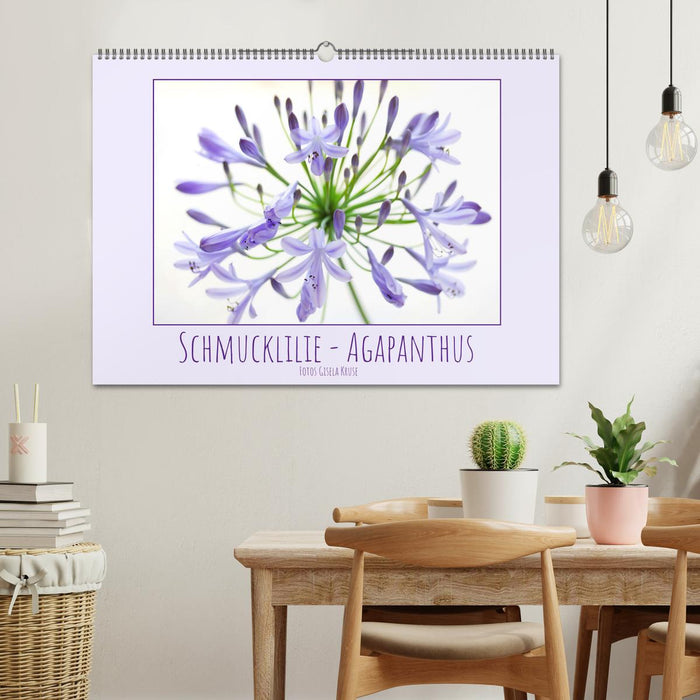 Schmucklilie - Agapanthus (CALVENDO Wandkalender 2025)