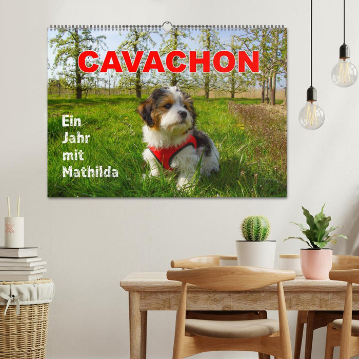 Ein Jahr mit Mathilda CAVACHON (CALVENDO Wandkalender 2025)