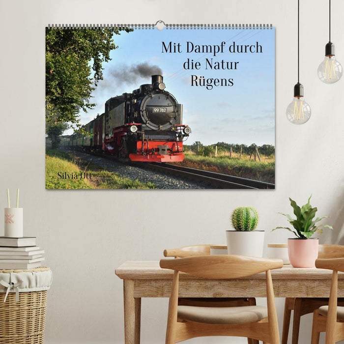 Mit Dampf durch die Natur Rügens (CALVENDO Wandkalender 2025)