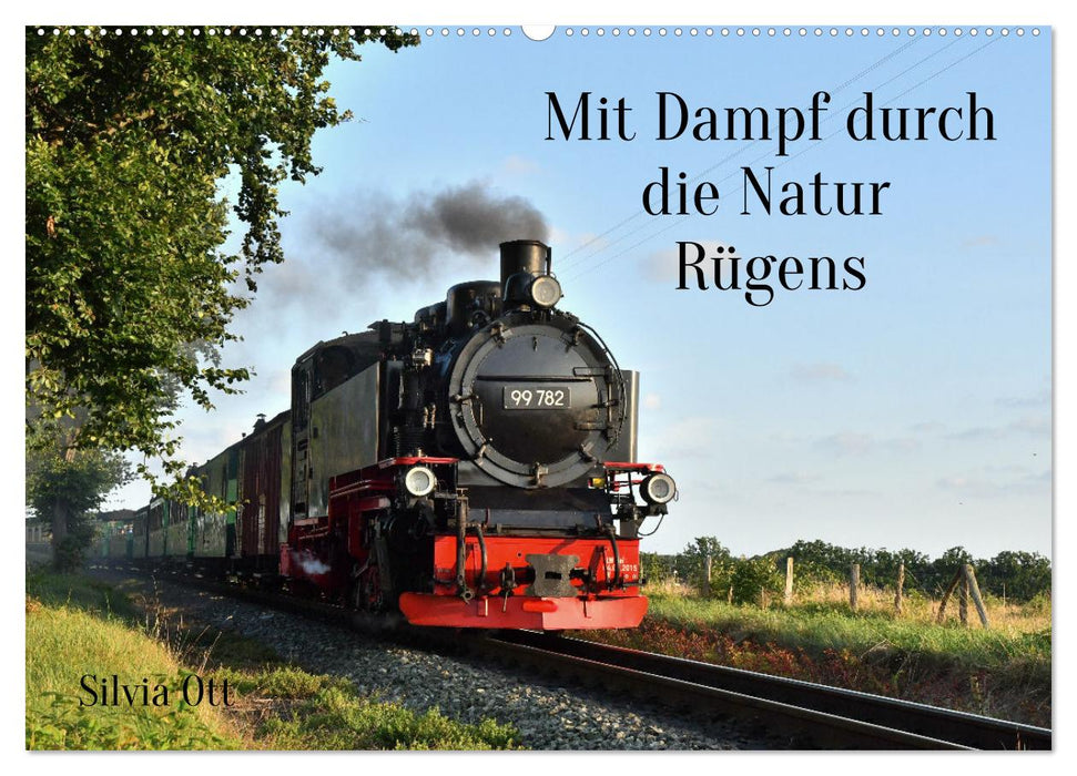 Mit Dampf durch die Natur Rügens (CALVENDO Wandkalender 2025)