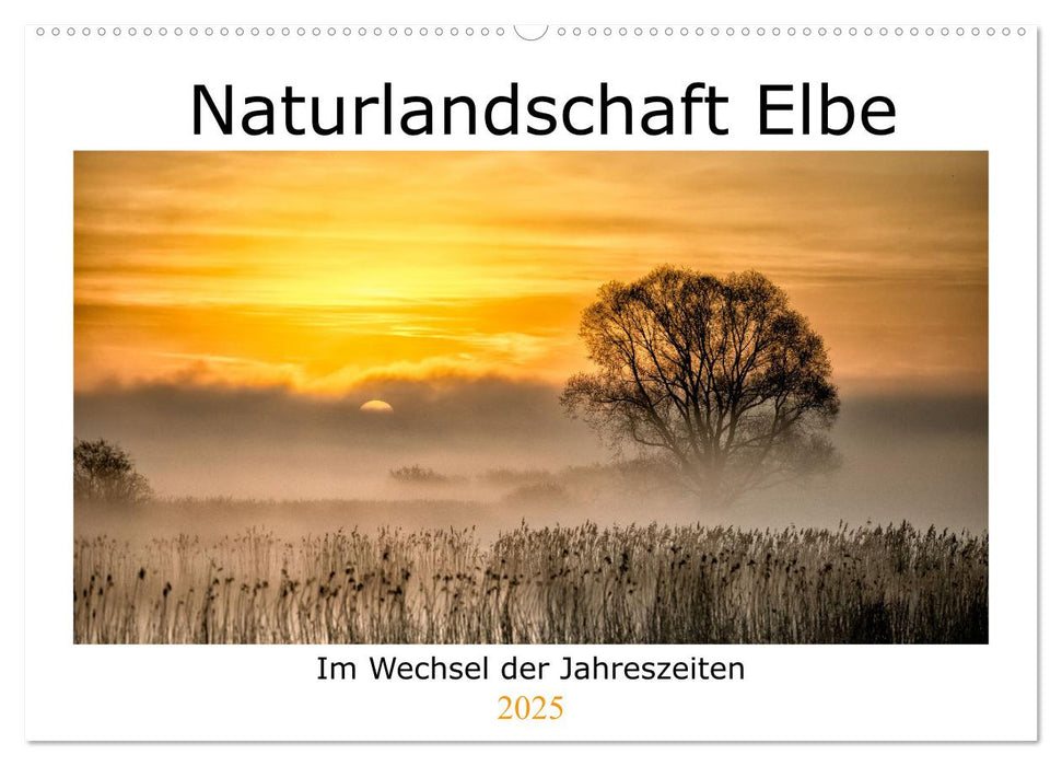 Naturlandschaft Elbe - Im Wechsel der Jahreszeiten (CALVENDO Wandkalender 2025)