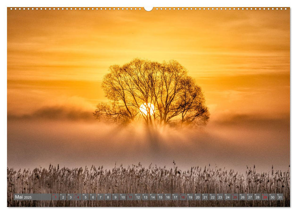 Naturlandschaft Elbe - Im Wechsel der Jahreszeiten (CALVENDO Wandkalender 2025)