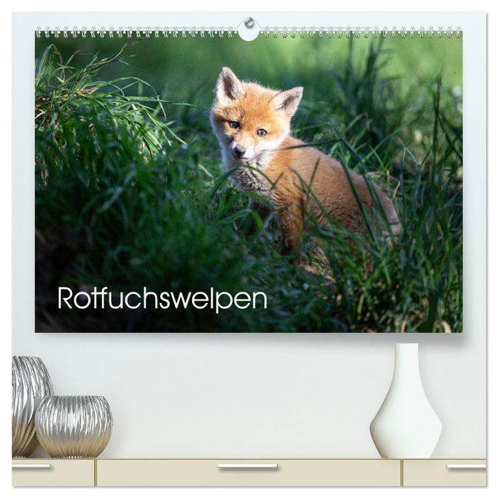 Rotfuchswelpen (CALVENDO Premium Wandkalender 2025)