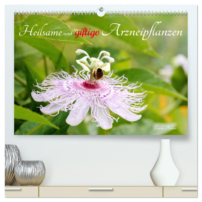 Heilsame und giftige Arzneipflanzen (CALVENDO Premium Wandkalender 2025)