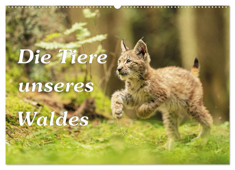 Die Tiere unseres Waldes (CALVENDO Wandkalender 2025)