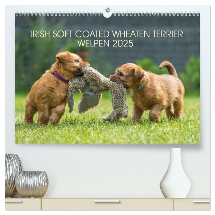 IRISH SOFT COATED WHEATEN TERRIER WELPEN 2025 (CALVENDO Premium Wandkalender 2025)