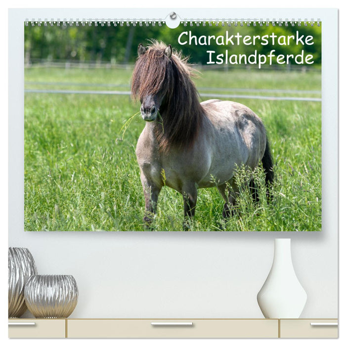 Charakterstarke Islandpferde (CALVENDO Premium Wandkalender 2025)