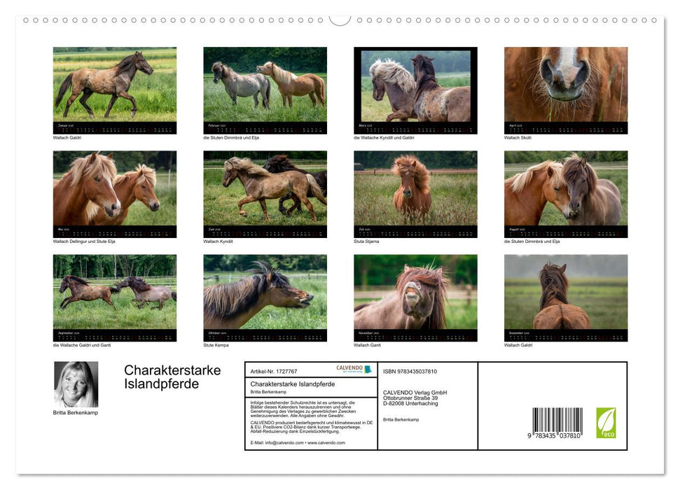 Charakterstarke Islandpferde (CALVENDO Premium Wandkalender 2025)