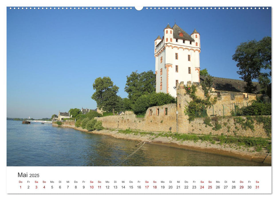 Rheingau - Land des Weines und der Bauwerks (CALVENDO Premium Wandkalender 2025)