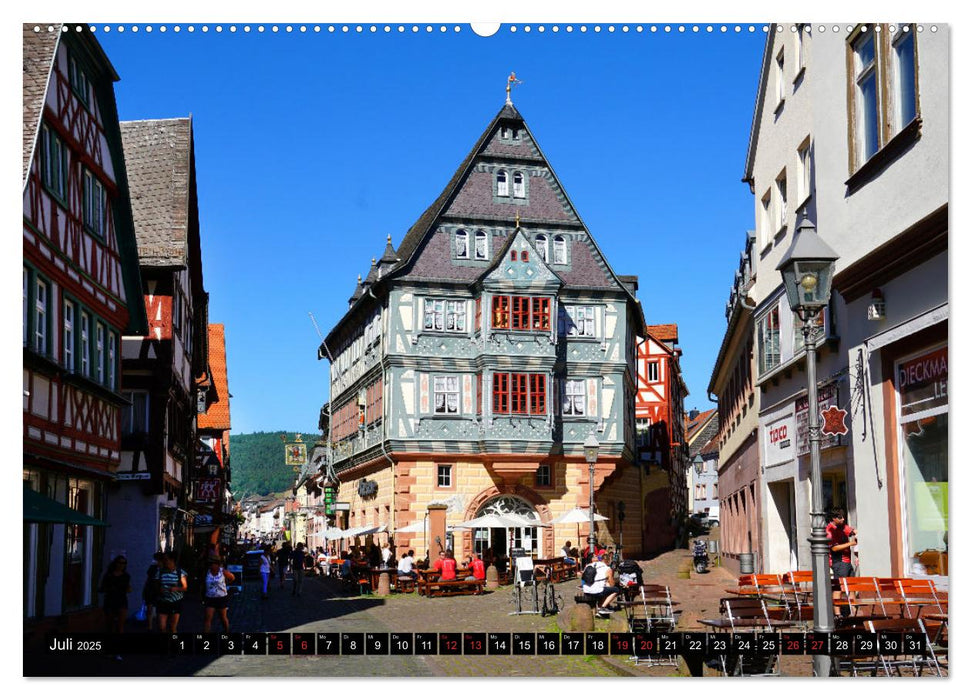 Miltenberg. Sehenswürdigkeiten. (CALVENDO Premium Wandkalender 2025)