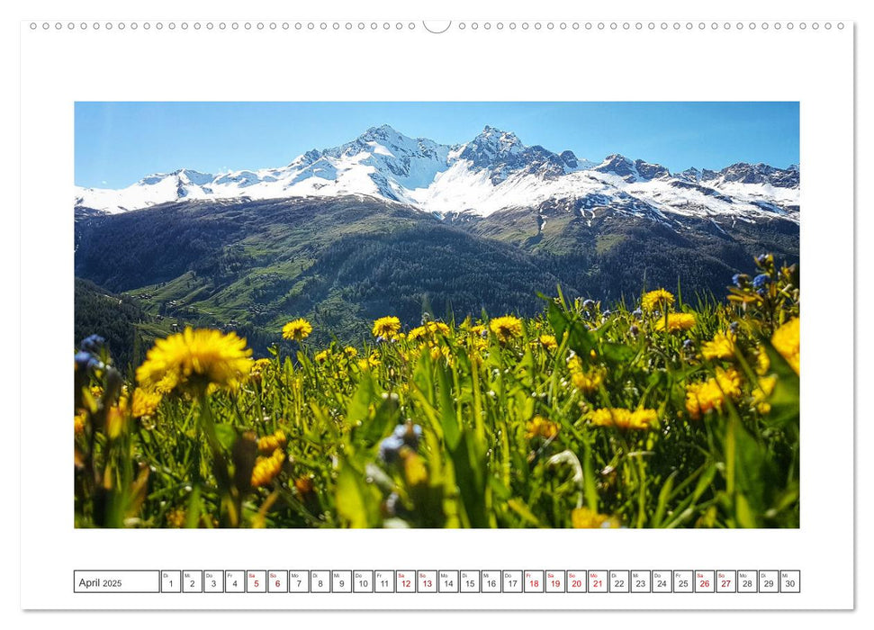 Natur Momente (CALVENDO Premium Wandkalender 2025)