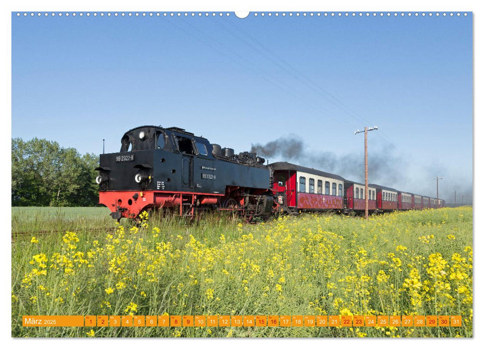 Dampfeisenbahnen in Deutschland (CALVENDO Premium Wandkalender 2025)