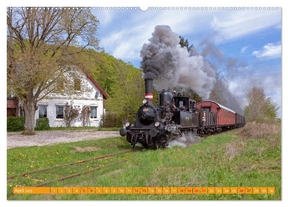 Dampfeisenbahnen in Deutschland (CALVENDO Premium Wandkalender 2025)