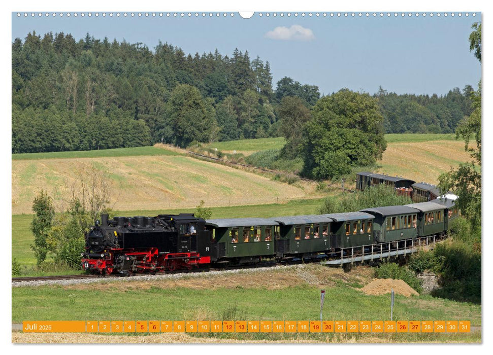 Dampfeisenbahnen in Deutschland (CALVENDO Premium Wandkalender 2025)