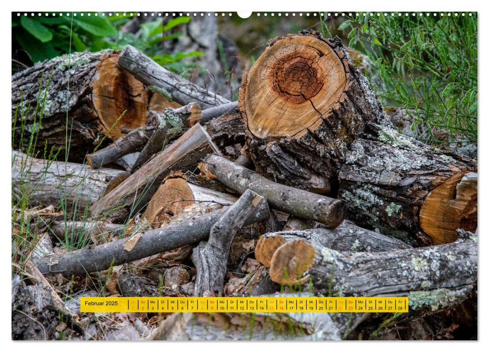 Der Nationalpark Cevennen - Frankreichs wilder Süden (CALVENDO Premium Wandkalender 2025)