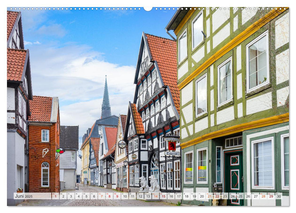 Nienburg Weser Impressionen (CALVENDO Premium Wandkalender 2025)