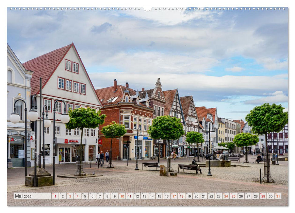 Stadthagen Impressionen (CALVENDO Premium Wandkalender 2025)