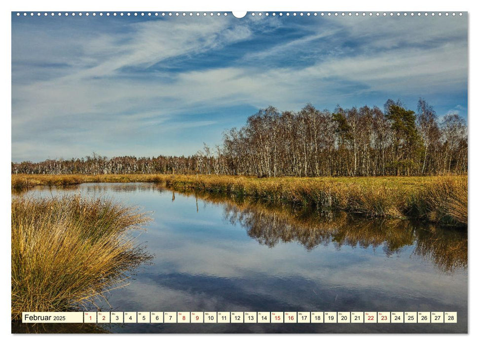 Pfrunger-Burgweiler Ried und Federsee (CALVENDO Wandkalender 2025)