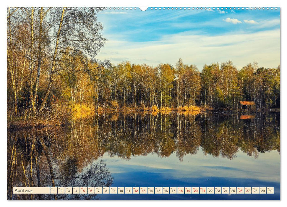 Pfrunger-Burgweiler Ried und Federsee (CALVENDO Wandkalender 2025)