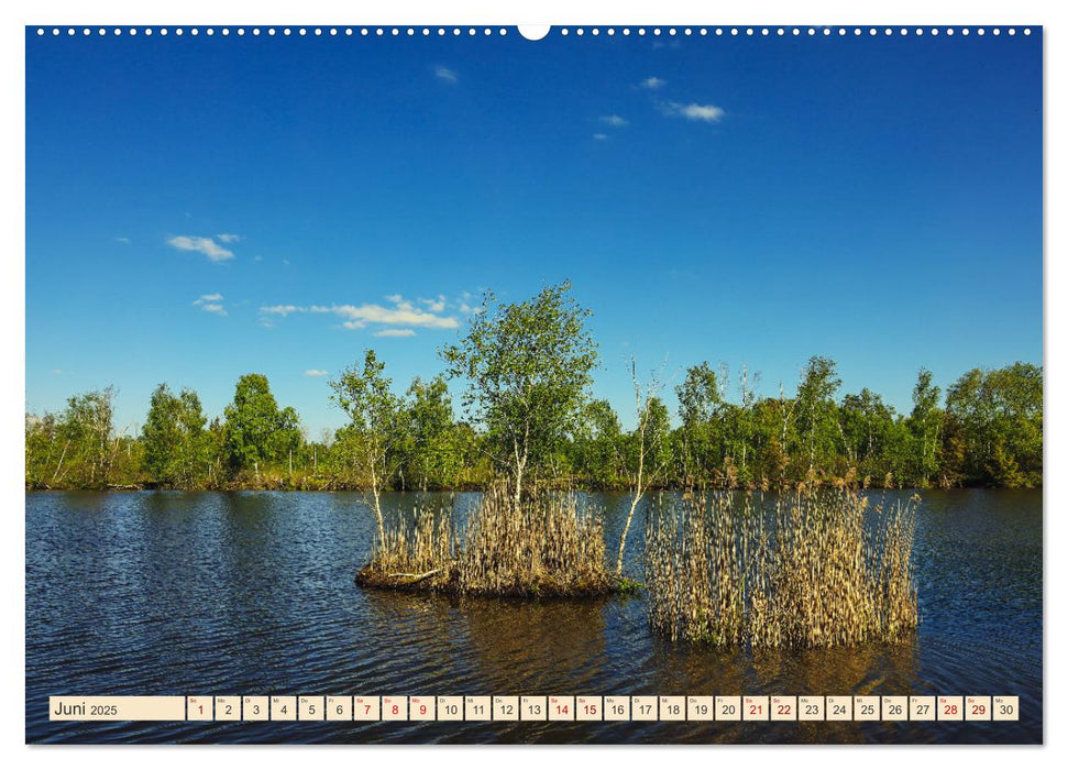 Pfrunger-Burgweiler Ried und Federsee (CALVENDO Wandkalender 2025)