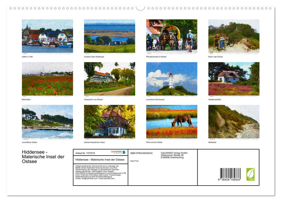 Hiddensee - Malerische Insel der Ostsee (CALVENDO Wandkalender 2025)