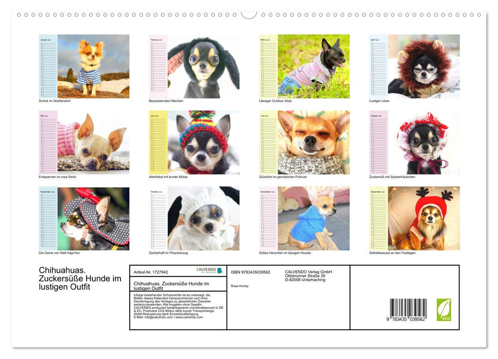 Chihuahuas. Zuckersüße Hunde im lustigen Outfit (CALVENDO Premium Wandkalender 2025)