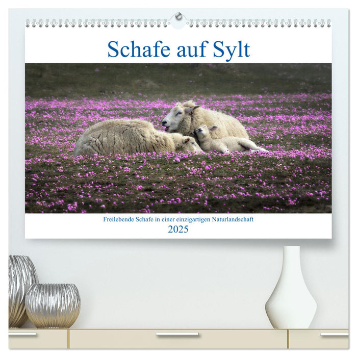 Schafe auf Sylt (CALVENDO Premium Wandkalender 2025)